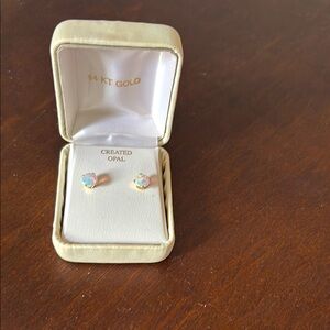 Opal and 14K Good Earrings